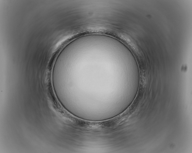 X0000089950583200707271842