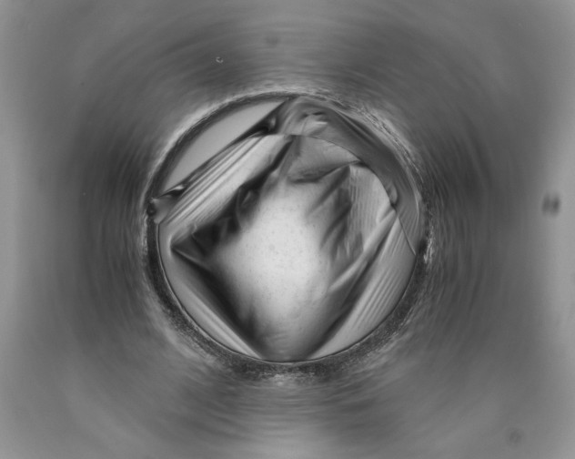 X0000089950584200707271842