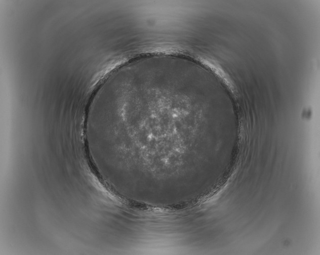 X0000089950585200707271842