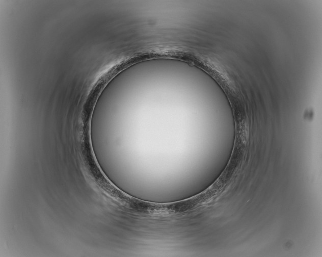 X0000089950587200707271842