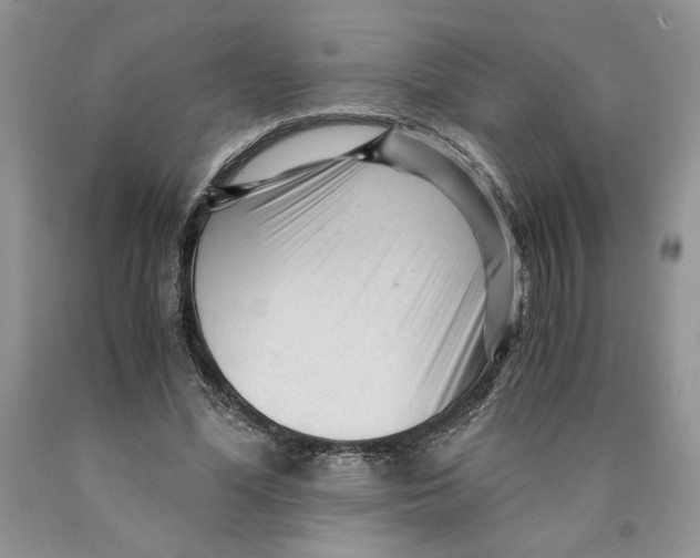 X0000089950588200707271842