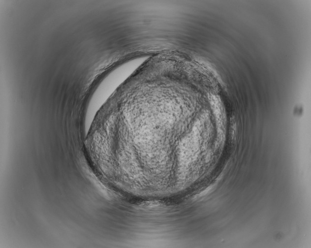 X0000089950589200707271842