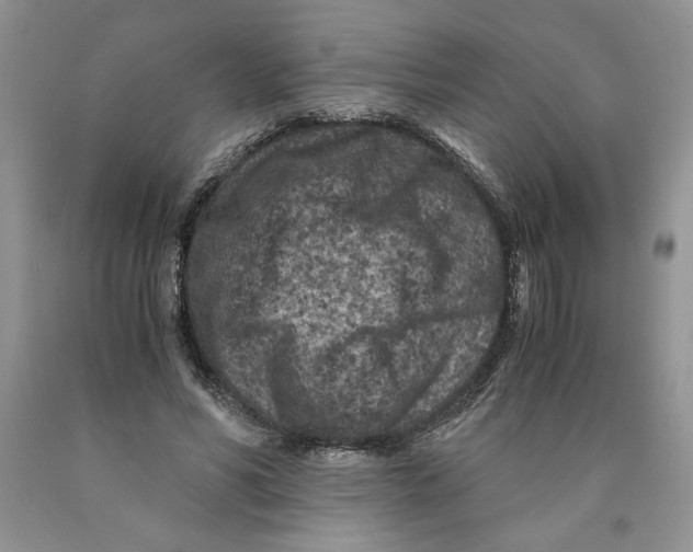 X0000089950590200707271842