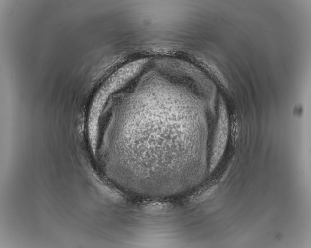 X0000089950593200707271842