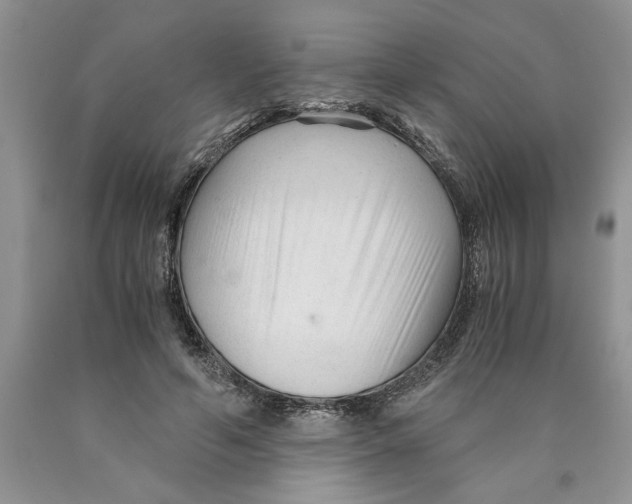 X0000089950594200707271842