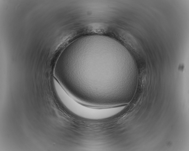 X0000089950595200707271842