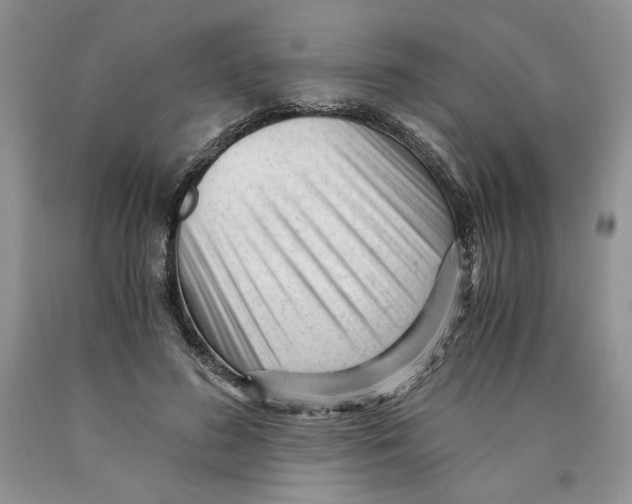X0000089950596200707271842