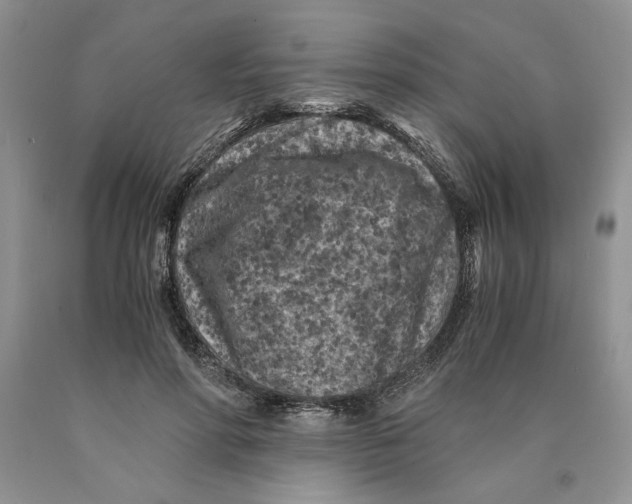 X0000089950598200707271842
