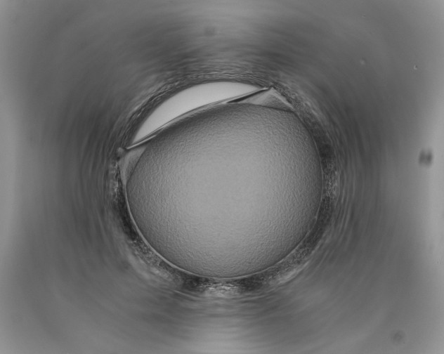 X0000089950599200707271842