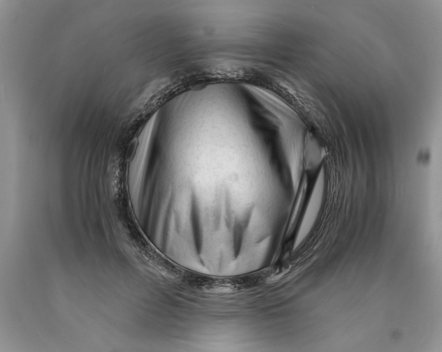 X0000089950600200707271842