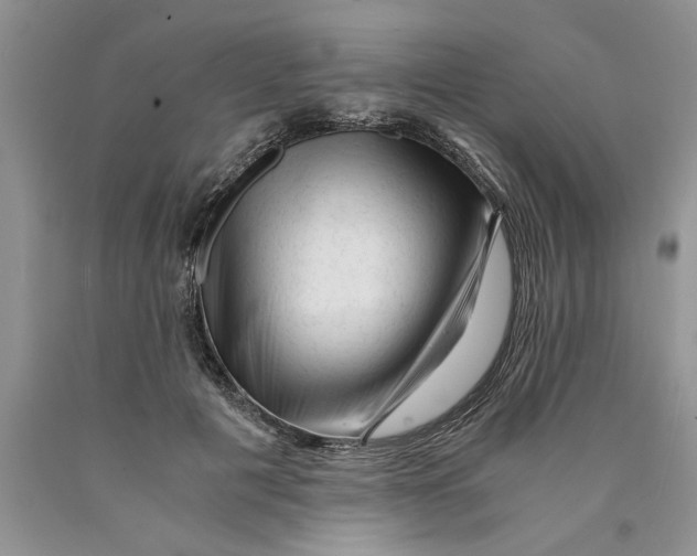 X0000089950601200707271842