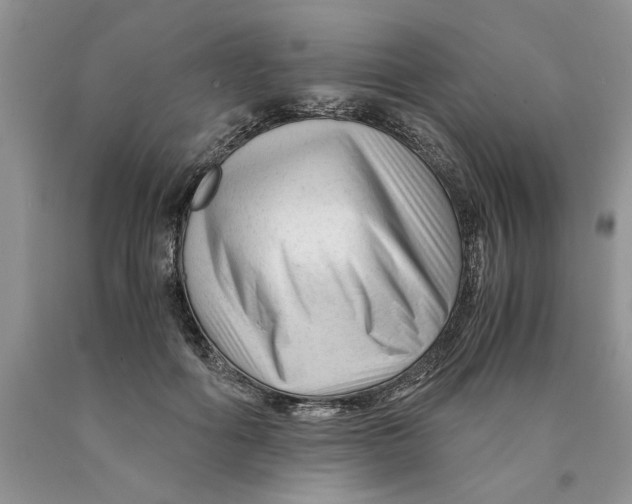 X0000089950602200707271842