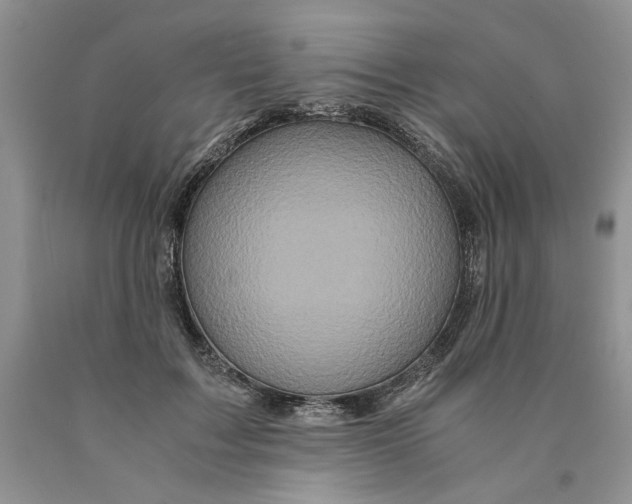 X0000089950603200707271842