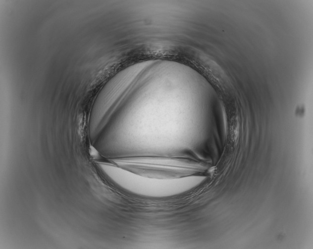 X0000089950605200707271842