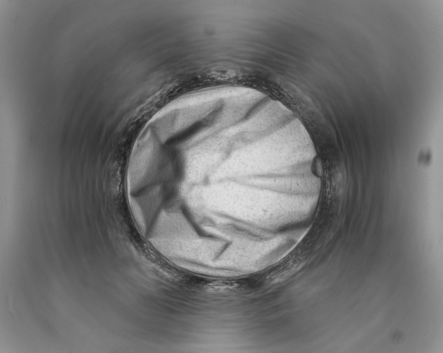 X0000089950606200707271842