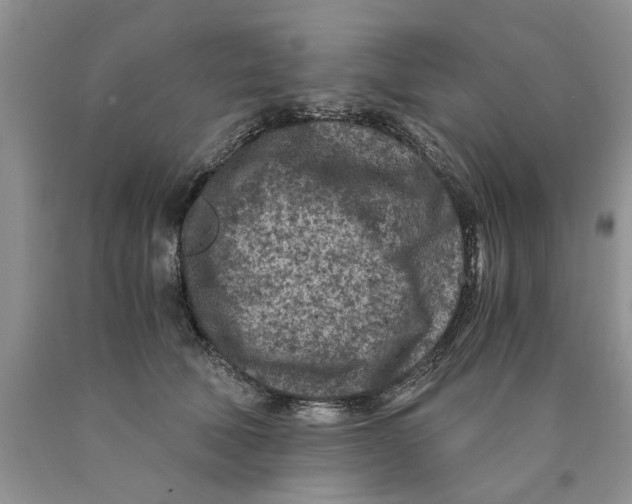 X0000089950610200707271842