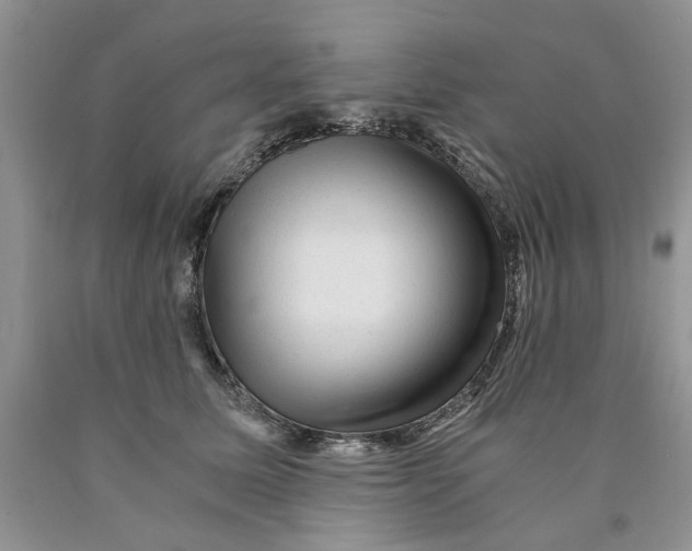 X0000089950611200707271842