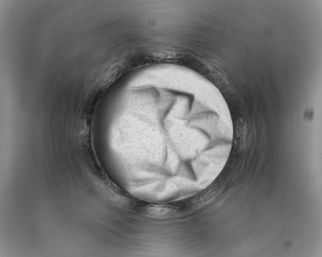 X0000089950614200707271841