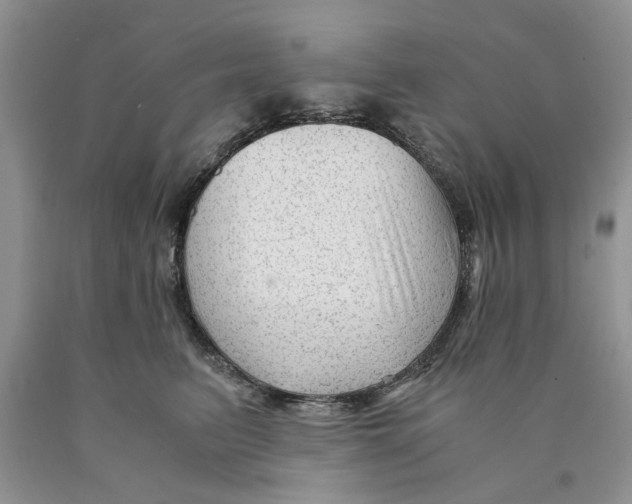 X0000089950615200707271841