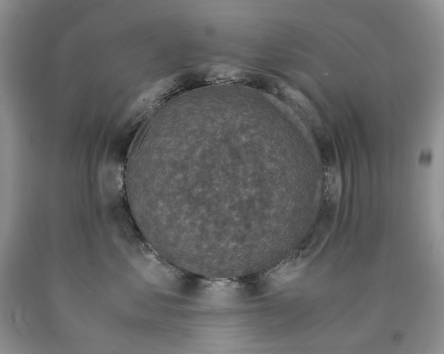 X0000089950621200707271841