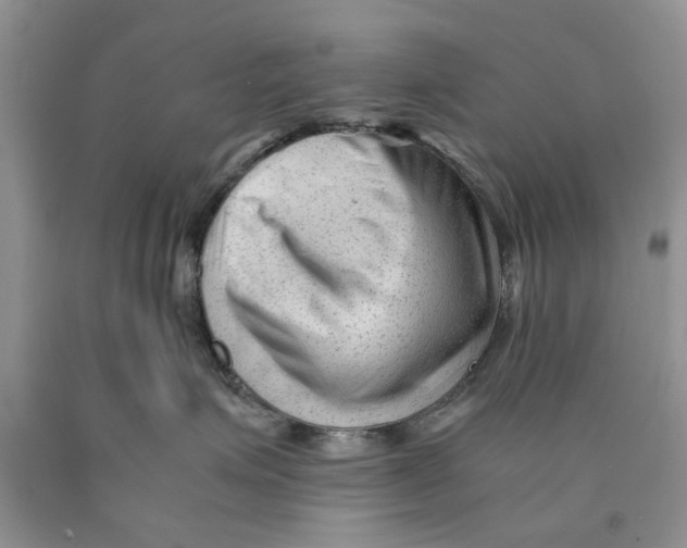 X0000089950623200707271841