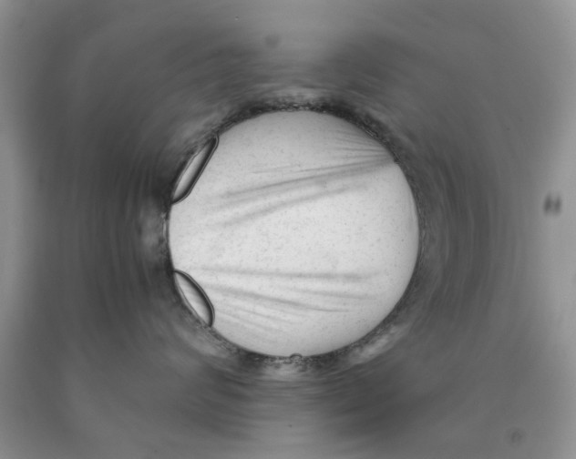 X0000089950624200707271841