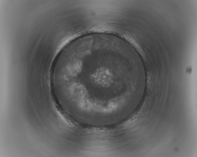 X0000089950626200707271841