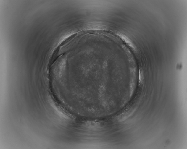 X0000089950627200707271841