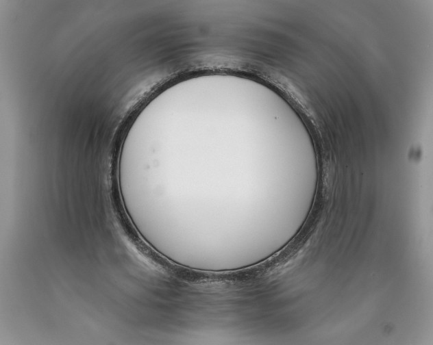 X0000089950629200707271841