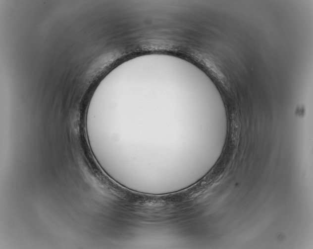 X0000089950631200707271841