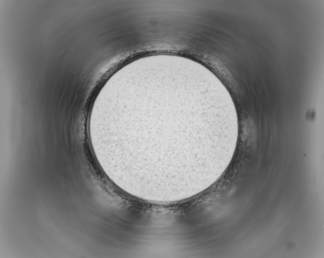 X0000089950632200707271841