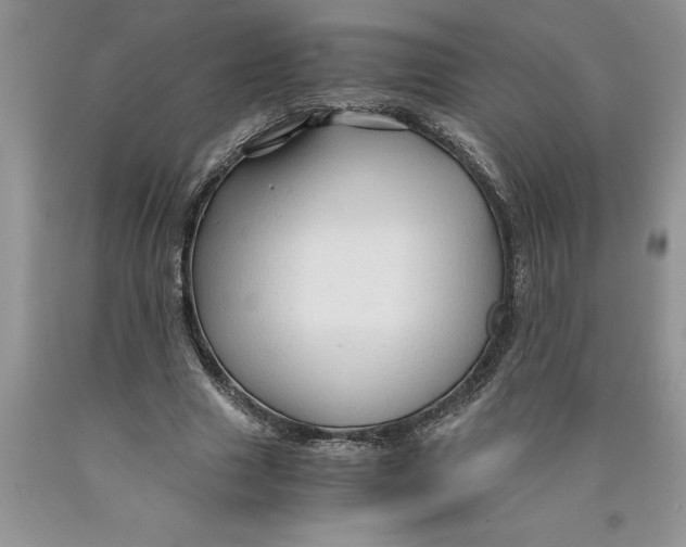 X0000089950633200707271841