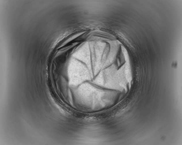 X0000089950634200707271841