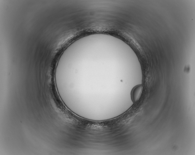 X0000089950635200707271841