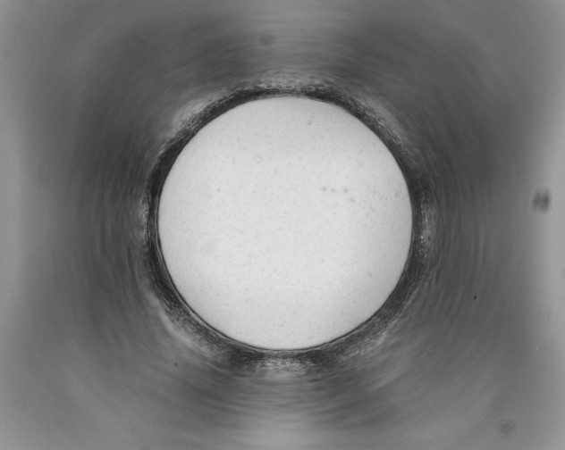 X0000089950636200707271841