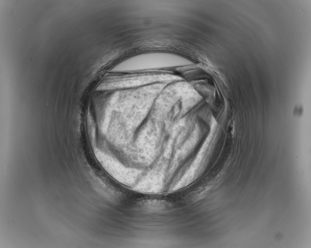 X0000089950637200707271841