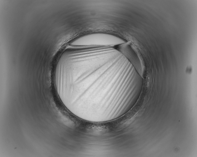 X0000089950638200707271841