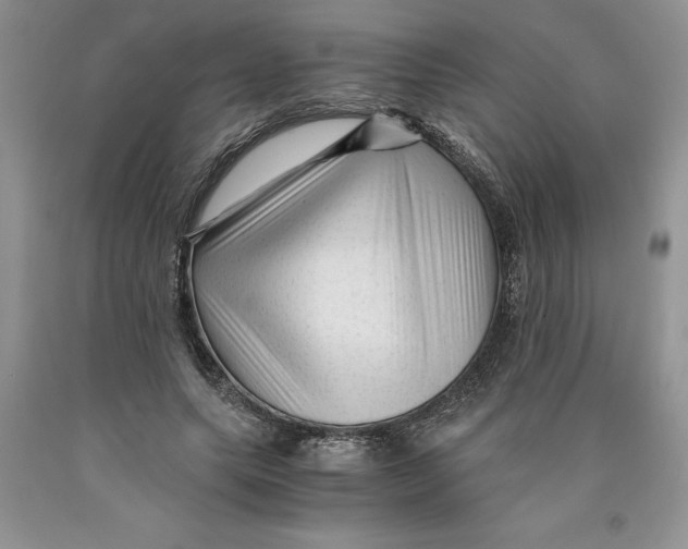 X0000089950639200707271841