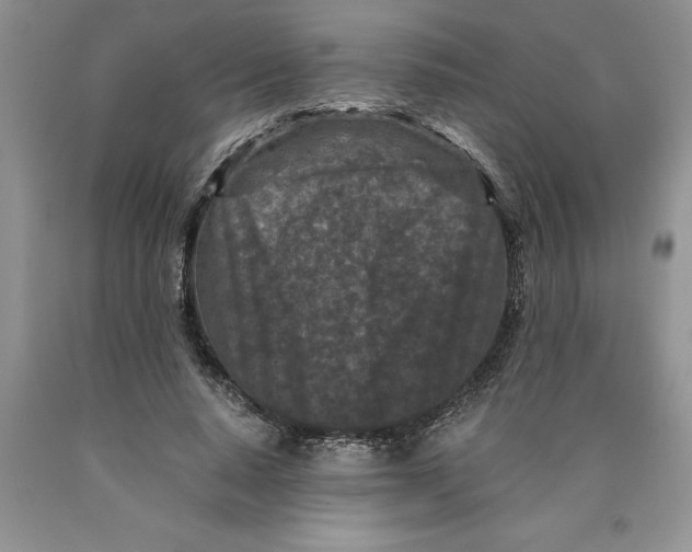 X0000089950640200707271841