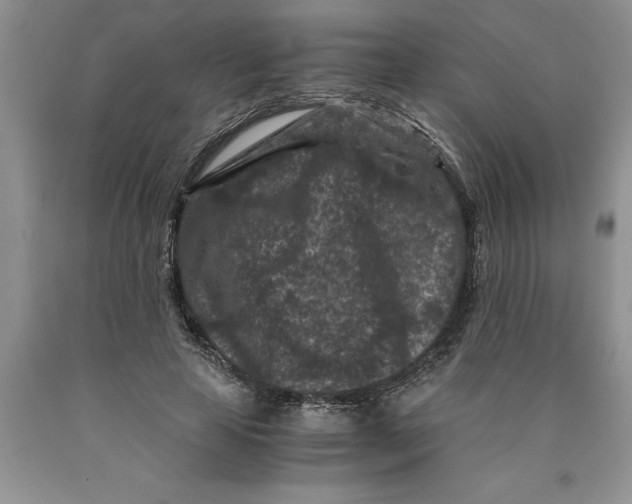 X0000089950641200707271841