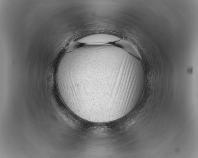 X0000089950642200707271841