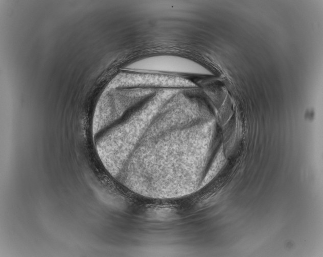 X0000089950643200707271841