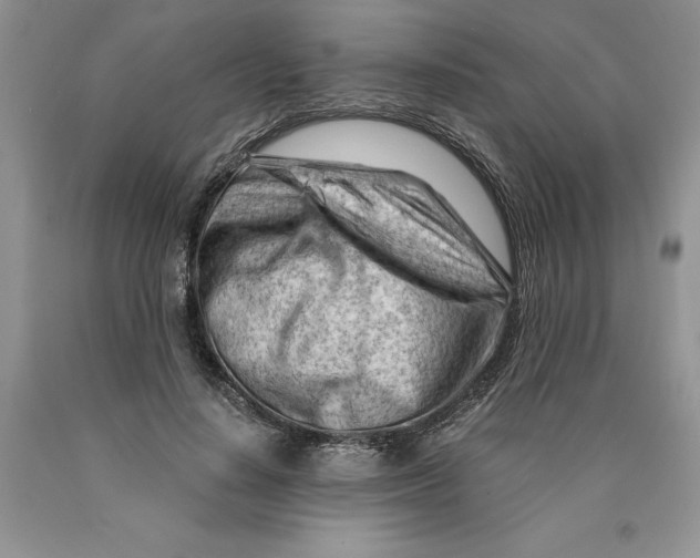 X0000089950644200707271841