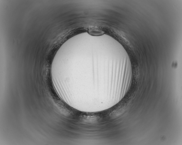 X0000089950645200707271841
