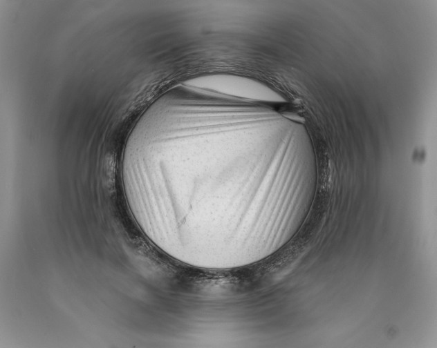 X0000089950646200707271841