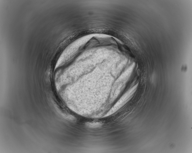 X0000089950647200707271841