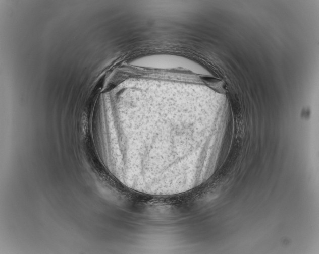 X0000089950648200707271841