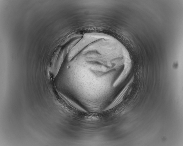 X0000089950649200707271841