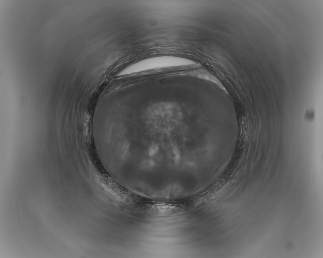 X0000089950650200707271841