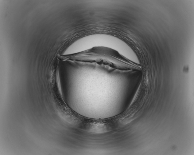 X0000089950651200707271841